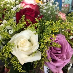 Meet your Posher, Gloria